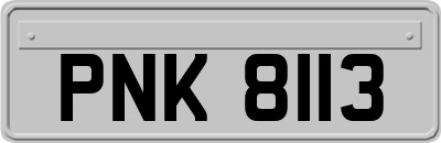 PNK8113
