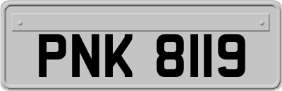 PNK8119