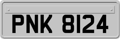 PNK8124