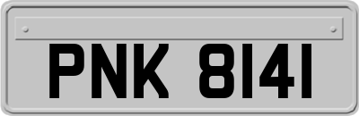 PNK8141