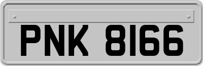 PNK8166