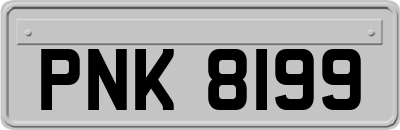 PNK8199