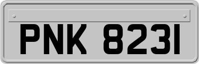 PNK8231
