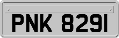 PNK8291