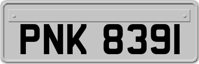 PNK8391
