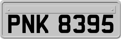PNK8395