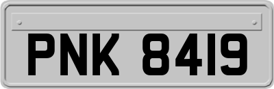 PNK8419