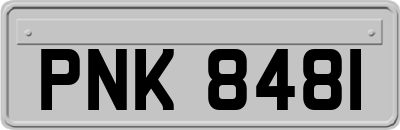 PNK8481