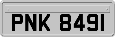 PNK8491