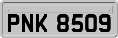 PNK8509