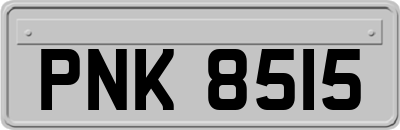 PNK8515