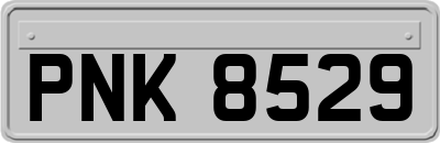 PNK8529