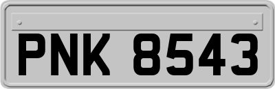 PNK8543