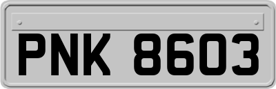 PNK8603