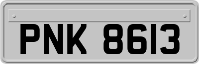 PNK8613