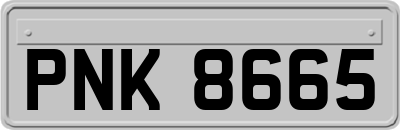 PNK8665