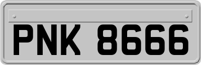 PNK8666