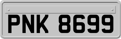 PNK8699