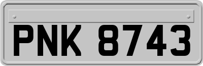 PNK8743