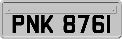 PNK8761