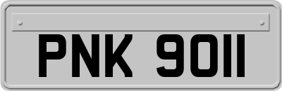 PNK9011