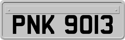 PNK9013