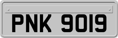 PNK9019