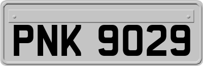 PNK9029