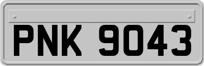 PNK9043