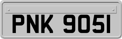 PNK9051