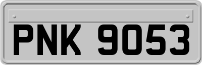 PNK9053