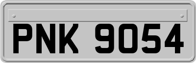 PNK9054