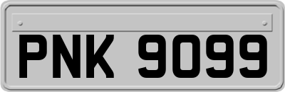 PNK9099
