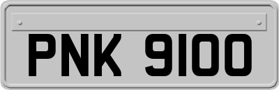 PNK9100