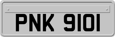 PNK9101