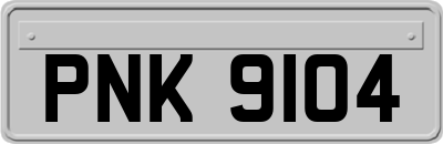 PNK9104