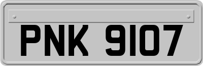 PNK9107