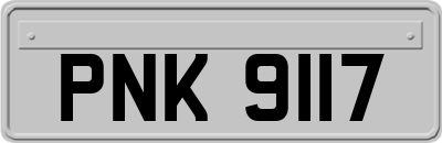 PNK9117