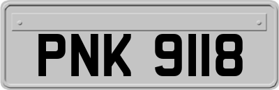 PNK9118