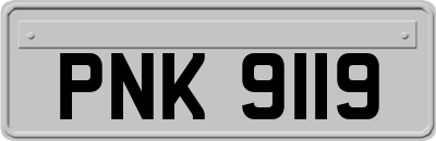 PNK9119