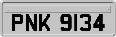 PNK9134