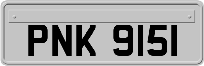 PNK9151