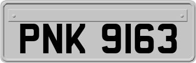 PNK9163