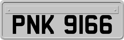 PNK9166