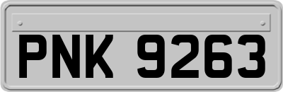 PNK9263