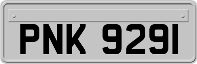 PNK9291