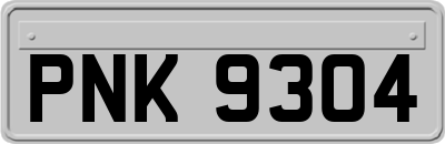 PNK9304