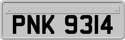 PNK9314