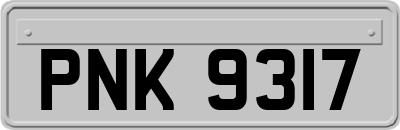 PNK9317