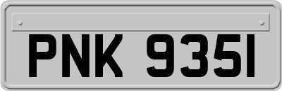 PNK9351